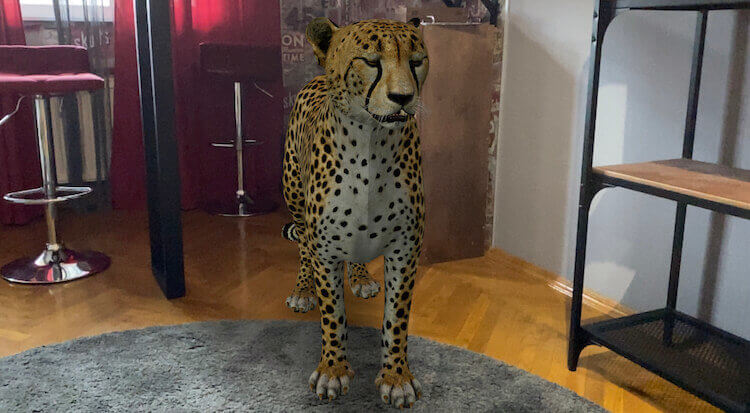 Почему на телефоне не получается смотреть животных в 3D от Google. Такого гепарда можно посмотреть в своей комнате. Фото.