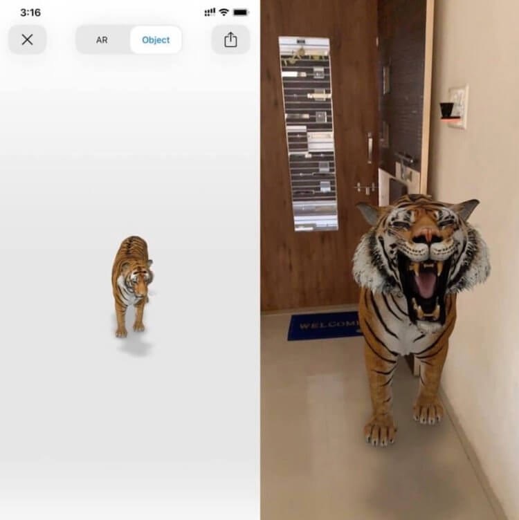 Как со смартфона смотреть животных в 3D из Google. Животные в дополненной реальности довольно реалистичны. Фото.