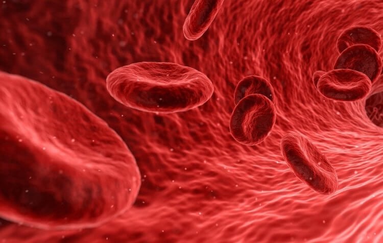 Как измеряют кислород в крови. Цвет крови свидетельствует о содержании в ней кислорода. Фото.