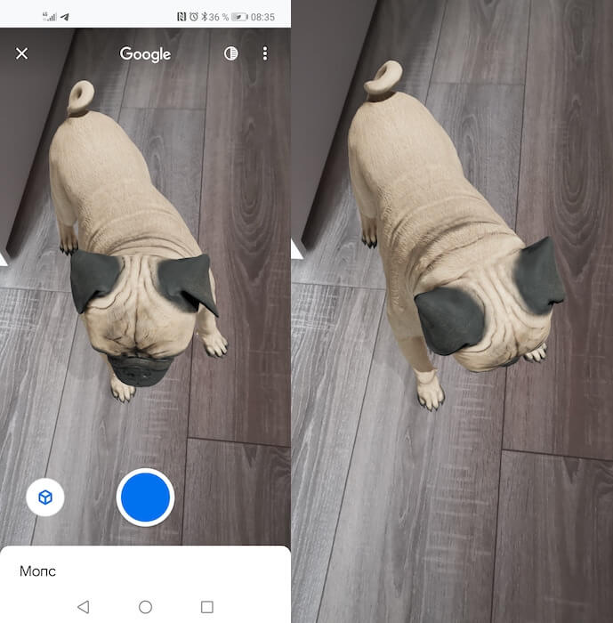 كيفية التقاط صور ومقاطع فيديو للحيوانات ثلاثية الأبعاد على Google 2