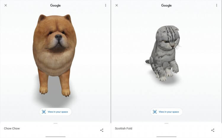 Животные 3д в Гугл. Со временем количество животных в Гугле только увеличивается. Фото.