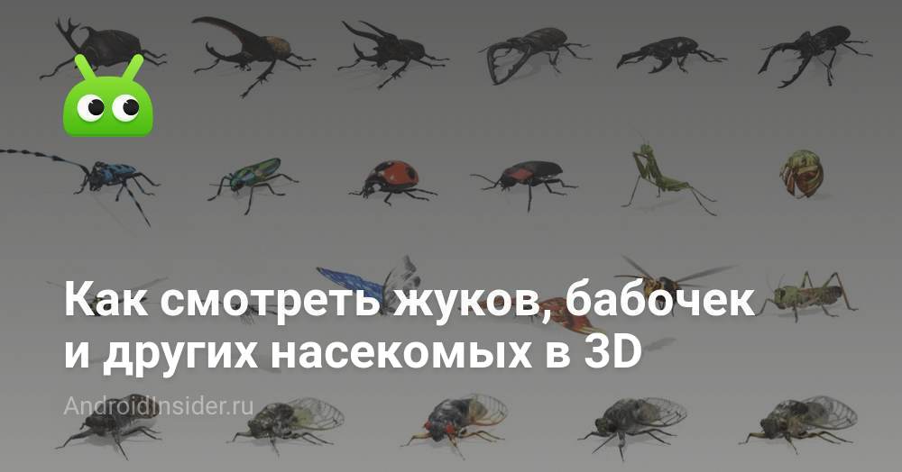 3D модели насекомых
