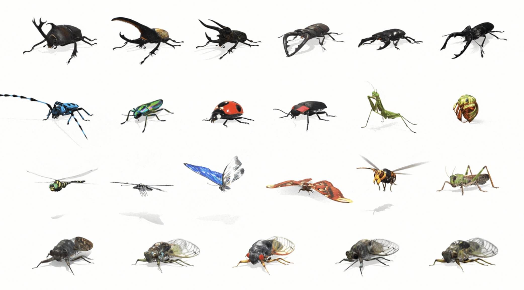 Названия мелких насекомых