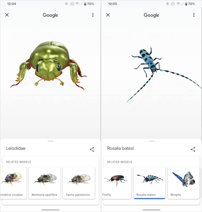 Почему 3д тигр не работает. Вот такие и другие насекомые доступны для просмотра в дополненной реальности в Google. Фото.