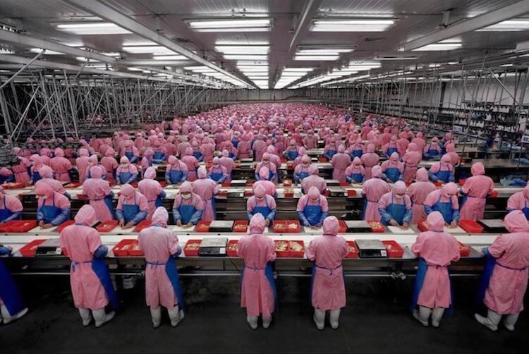 Huawei собирается заняться беспилотными автомобилями. Когда разработки будут завершены, в дело вступит такой завод. Фото.