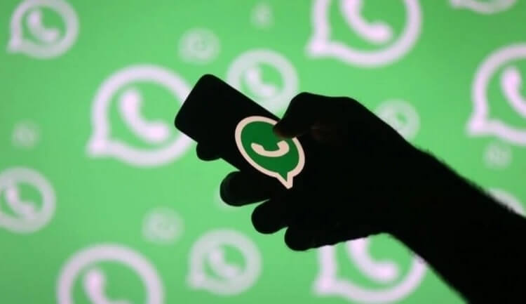 Новая функция WhatsApp. Отправка сообщений в WhatsApp постепенно меняется. Фото.