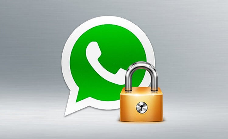 Вашу учетную запись WhatsApp могут заблокировать без вашего ведома. Заблокировать вашу учетную запись можно удаленно. Фото.