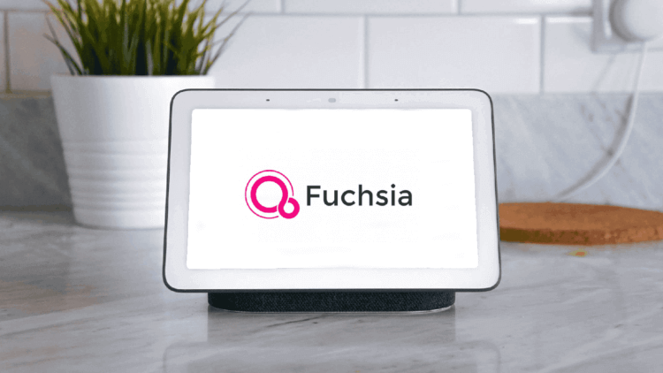 Заменят ли Android на Fuchsia OS. Google Nest — первое устройство, которое перевели на Fuchsia. Но никто этого не заметил. Фото.