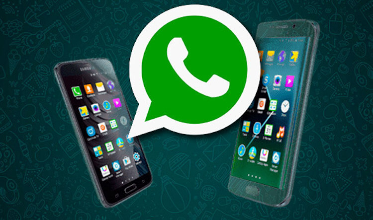 WhatsApp скоро можно будет пользоваться одновременно на нескольких устройствах. Дождались! WhatsApp будет работать на нескольких устройствах одновременно. Фото.