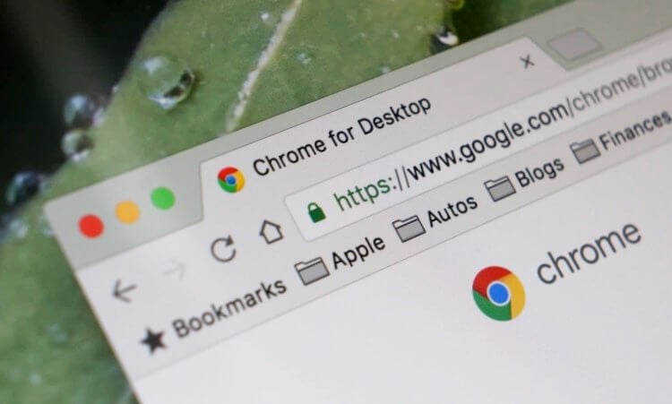 Защита от фишинга в Chrome. Google усовершенствовала системы безопасности Chrome 92. Фото.
