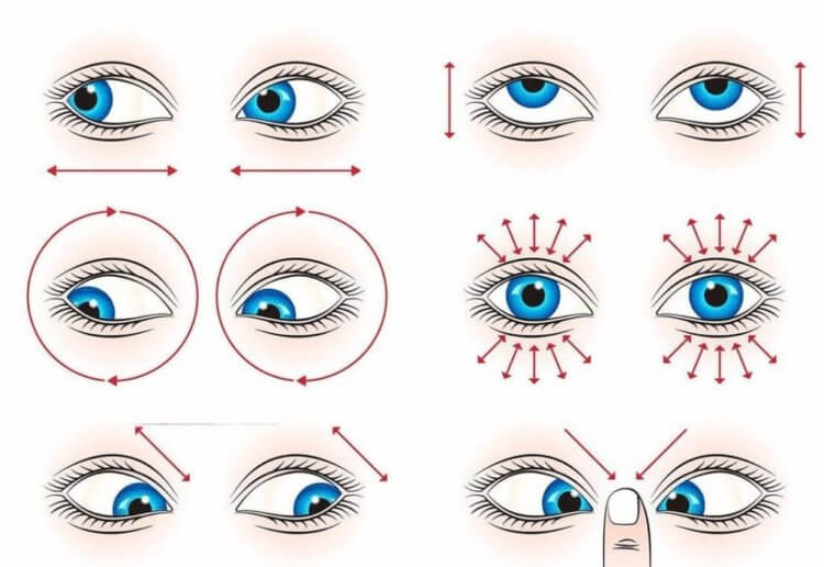Как пользоваться гаджетами и при этом сохранить здоровье? Упражнения для глаз помогут в профилактике снижения зрения. Фото.