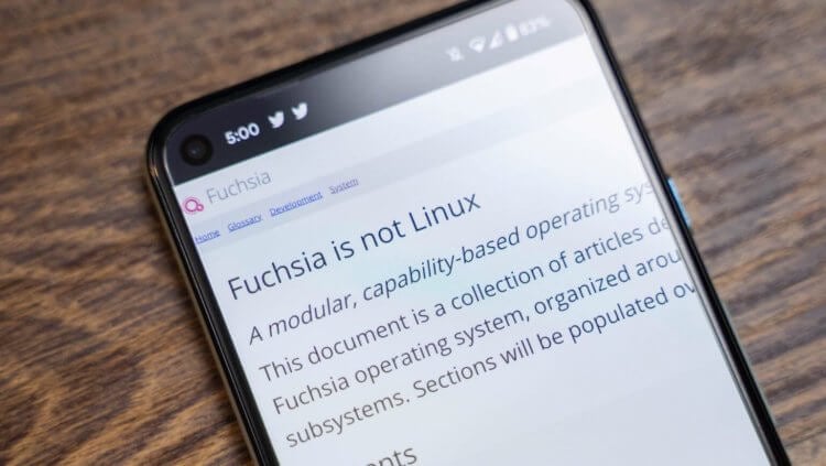Google рассказала, какие у неё планы на Fuchsia OS. Fuchsia OS — это не Linux, чтобы вы понимали. Фото.