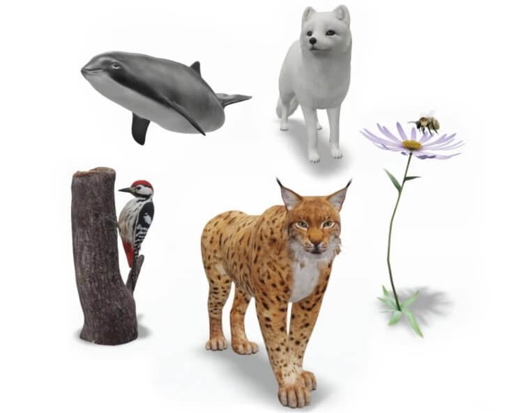 Новые животные Google в 3D. Это все новые животные, которые появились в Гугл. Фото.