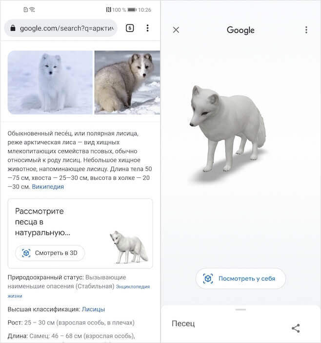 Новые животные Google в 3D. Посмотреть животных можно как просто на экране, так и в AR. Фото.