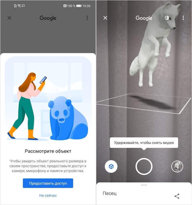 Новые животные Google в 3D. Животные в AR могут отображаться не на всех смартфонах. Фото.