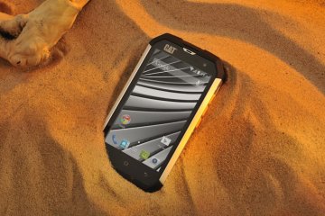 cat smartphone inthe sand pic
