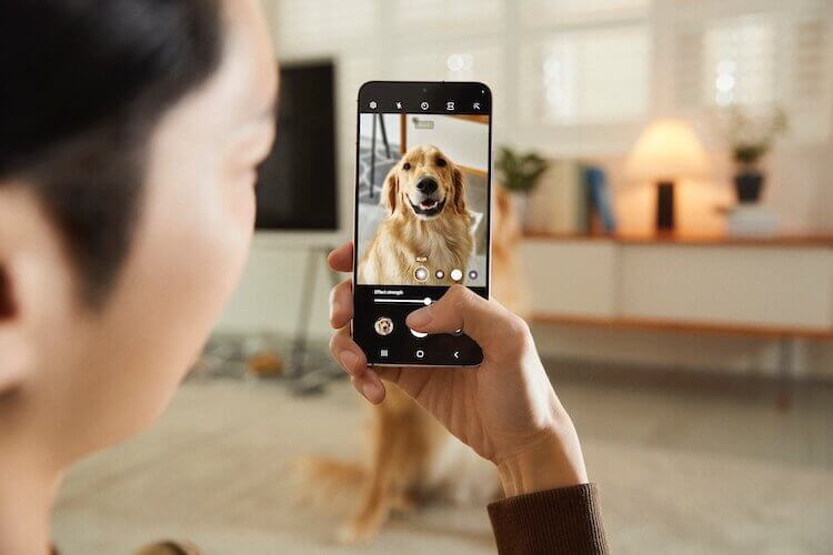 Samsung выпустила Galaxy S22. Камера как всегда является сильной стороной Galaxy S. Фото.