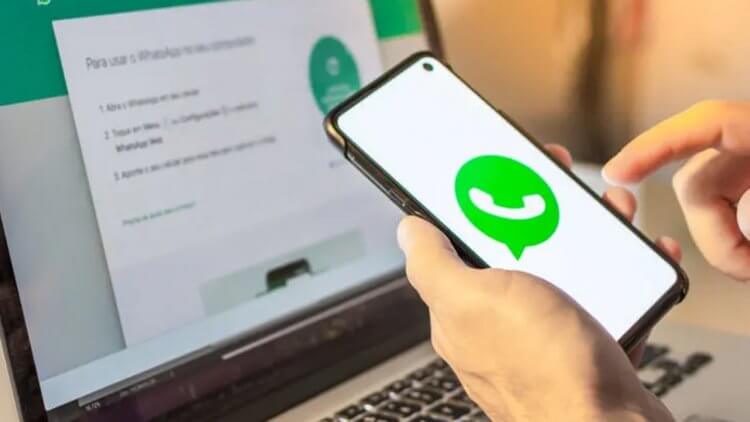 WhatsApp Premium — что это. WhatsApp Premium предназначен только для корпоративных пользователей. Фото.