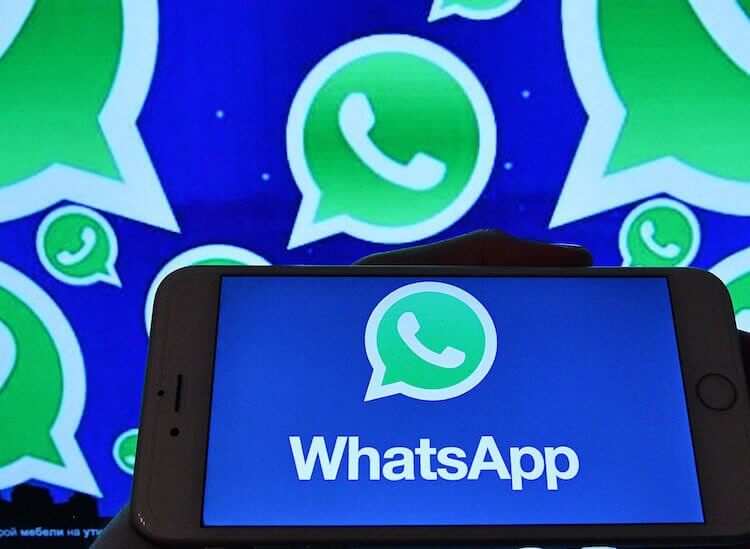 Новая функция WhatsApp. Количество пользователей WhatsApp намного больше, чем у Telegram, но разрыв сокращается. Фото.