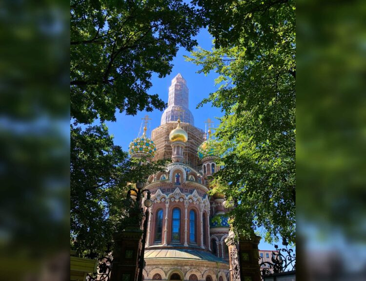 На этом фото подкручена контрастность и яркость. Фото.