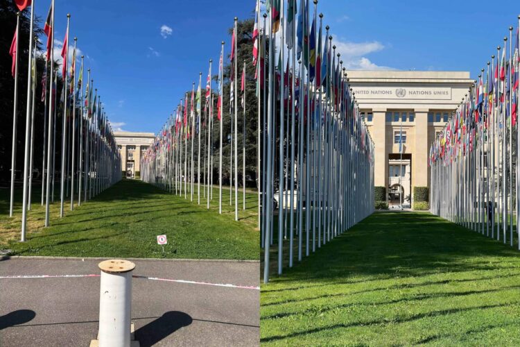 Телефото объектив позволяет делать снимки без потери качества. Фото.