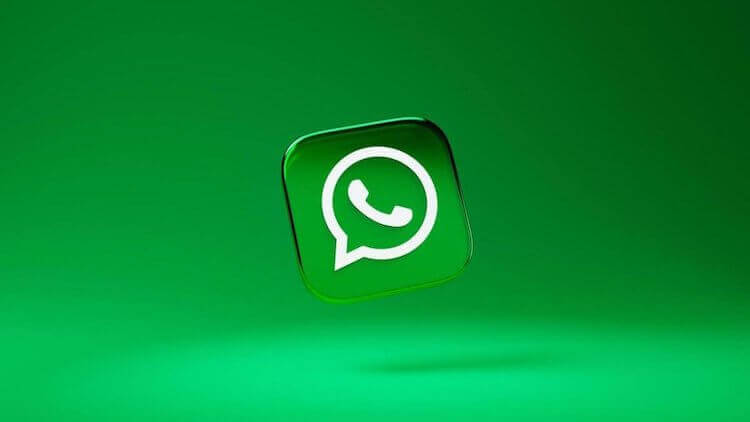 В WhatsApp нашли новую функцию. WhatsApp постоянно вводит новые фукнции. Фото.