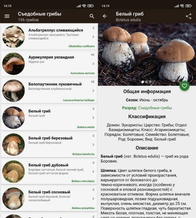 Справочник грибника — съедобные грибы. Это самый полный справочник для работы в офлайне. Фото.