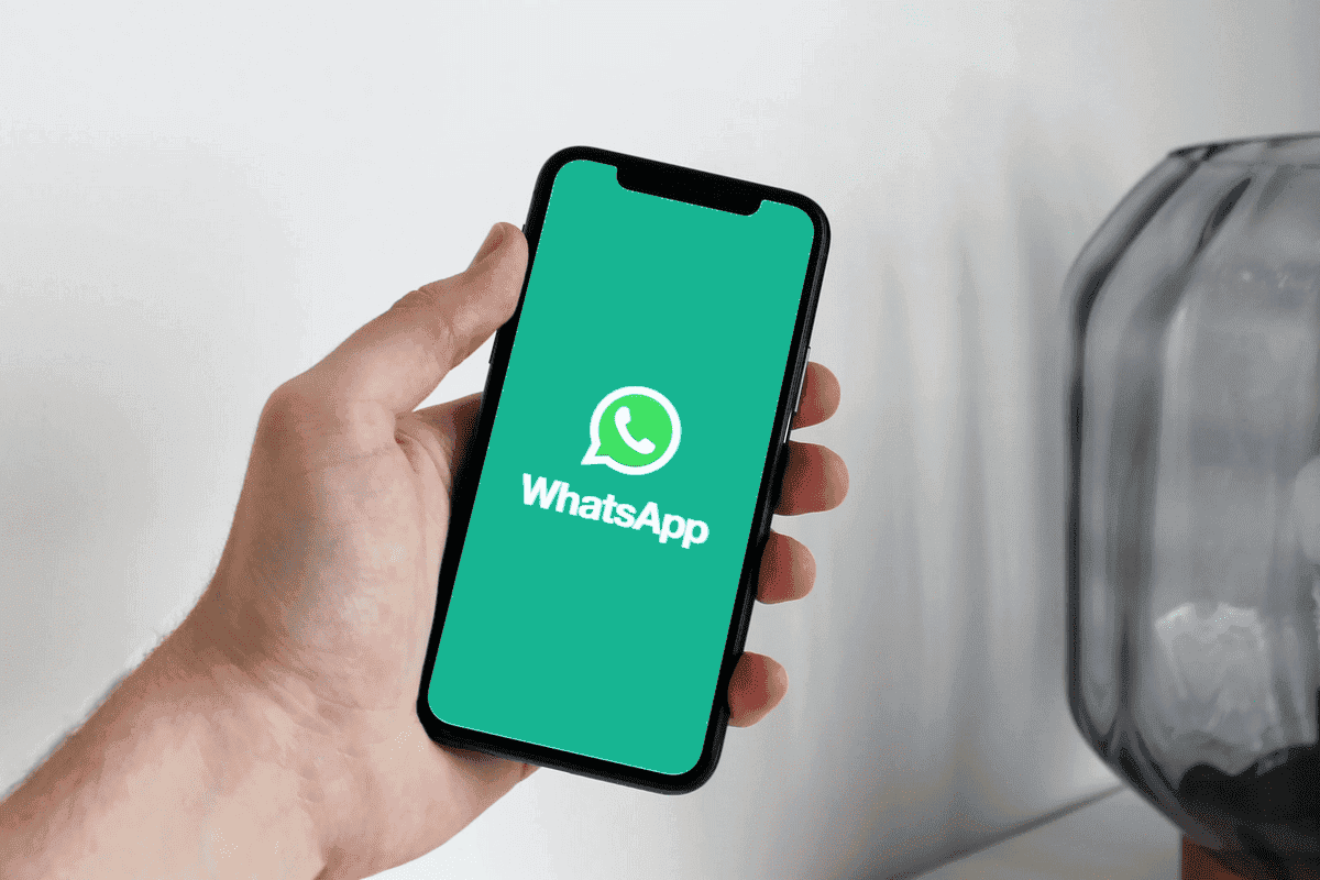 Премиальная подписка WhatsApp скоро появится. А вы выбираете WhatsApp или Telegram? Можем обсудить это в нашем Telegram-чате. Фото.