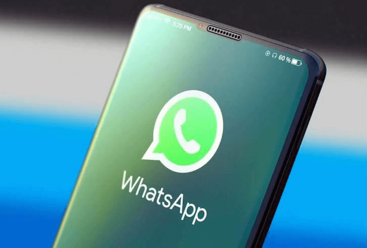 WhatsApp получил еще одну новую функцию. А вы выбираете WhatsApp или Telegram? Фото.