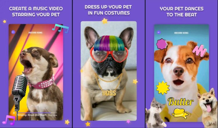 Здесь можно создавать прикольные видео. Фото.