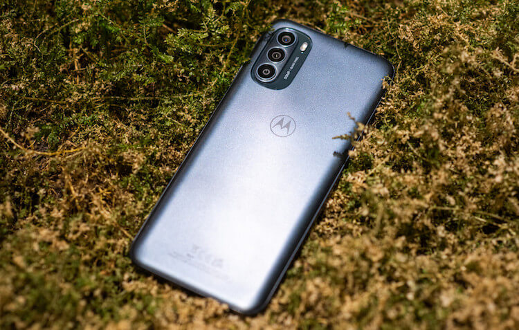 Moto G31 — недорогой Motorola. Moto G31. Фото.