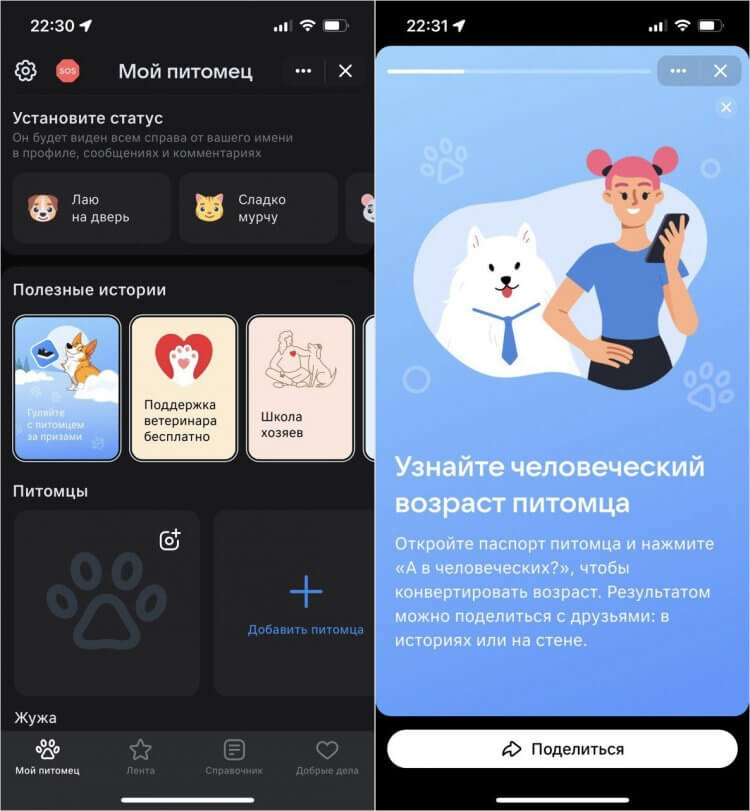 Приложение для ухода за животными. Во ВКонтакте можно добавить паспорта своих питомцев и вовремя узнавать о необходимости сделать прививки. Фото.