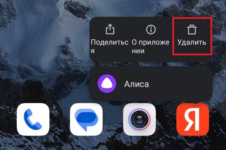 Удалить приложение Алиса. Нет Яндекса — нет Алисы, и точка. Фото.