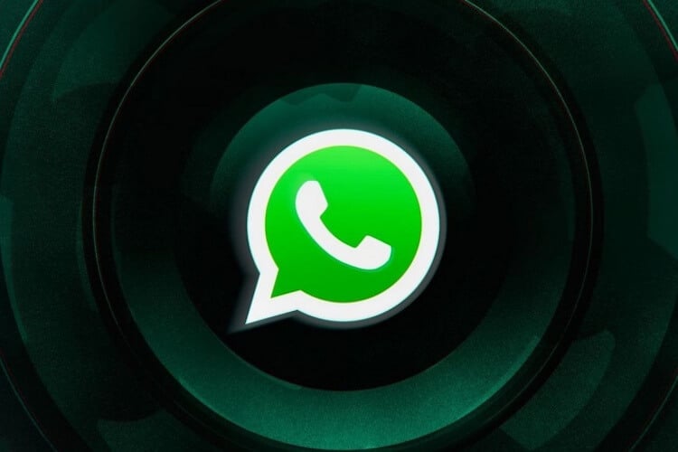 Голосовые статусы в WhatsApp. Что это и кому они доступны. WhatsApp все чаще предлагает новые функции, но при этом, на удивление, не забывает о стабильности работы. Фото.