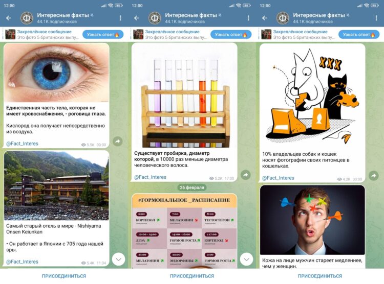 Факты из этого телеграм-канала смогут вас удивить. Фото.