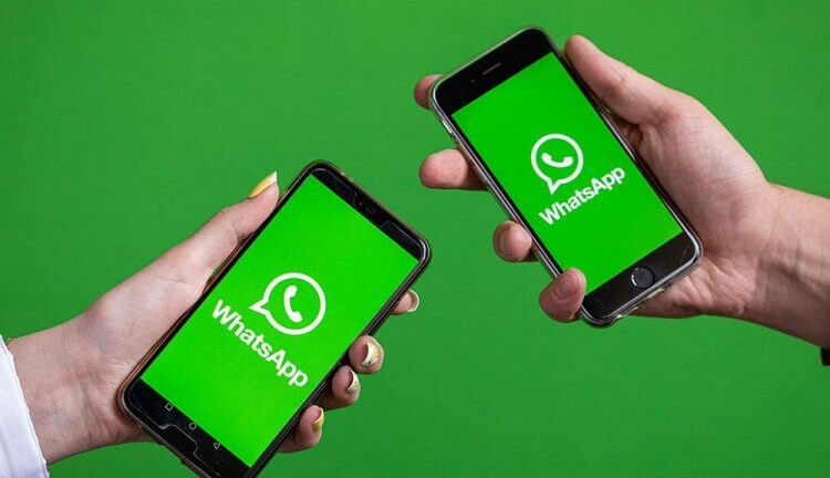 Как пользоваться одним WhatsApp на двух смартфонах Android одновременно. Фото.