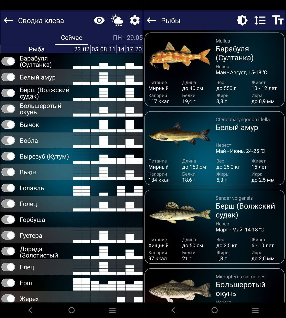 Прогноз клёва — приложение для рыбаков. Прогноз клёва должен скачать каждый уважающий себя рыбак. Фото.