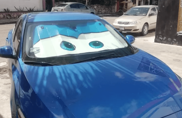 Автомобильная шторка от солнца с глазами. Есть разные цвета. Фото.