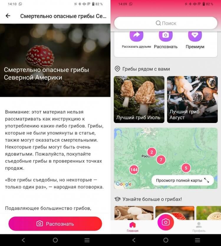 Picture Mushroom — приложение для определения грибов. Приложение распознает разные типы грибов и дает и о них всю информацию. Фото.