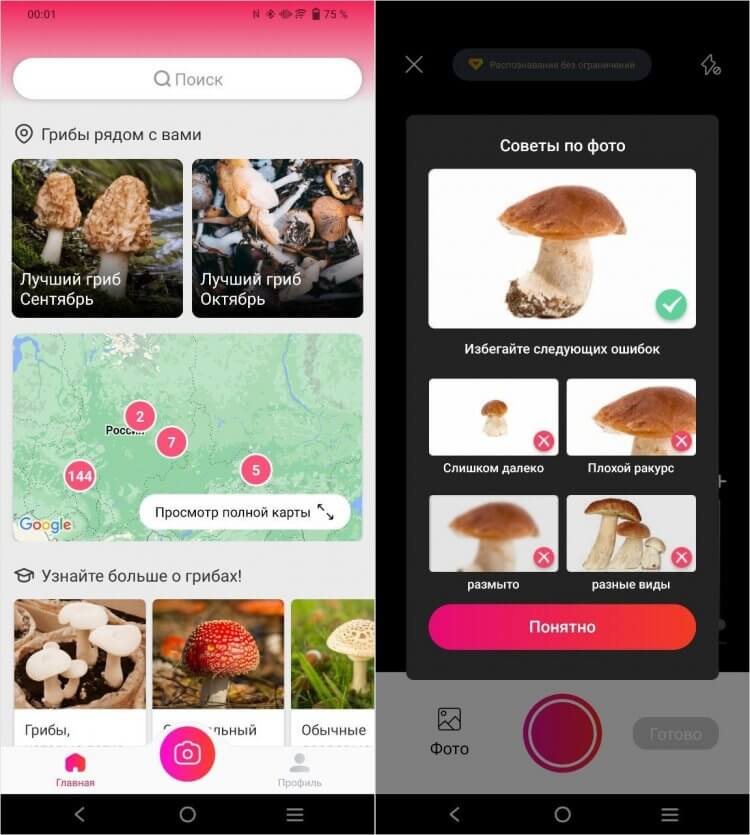 Picture Mushroom — сканер грибов на телефон. Этот сканер грибов — один из лучших в Гугл Плей. Фото.