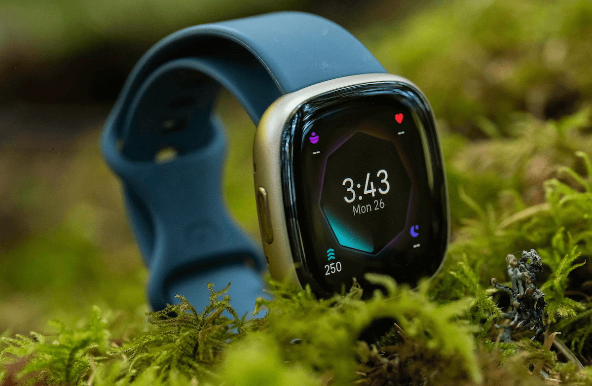 Fitbit Sense 2 — хорошие умные часы. Fitbit Sense 2. Изображение: Digital Trends. Фото.