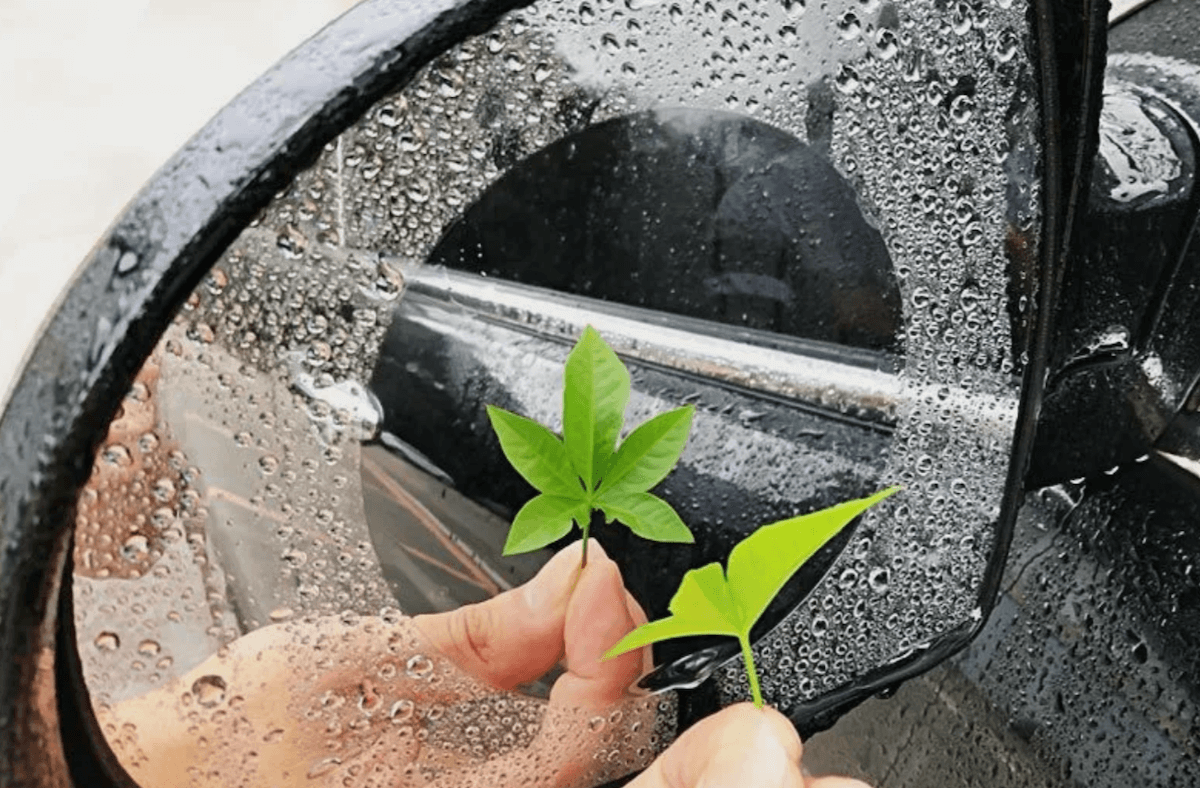 Наклейка на зеркало автомобиля от дождя. Изображение: AliExpress. Фото.