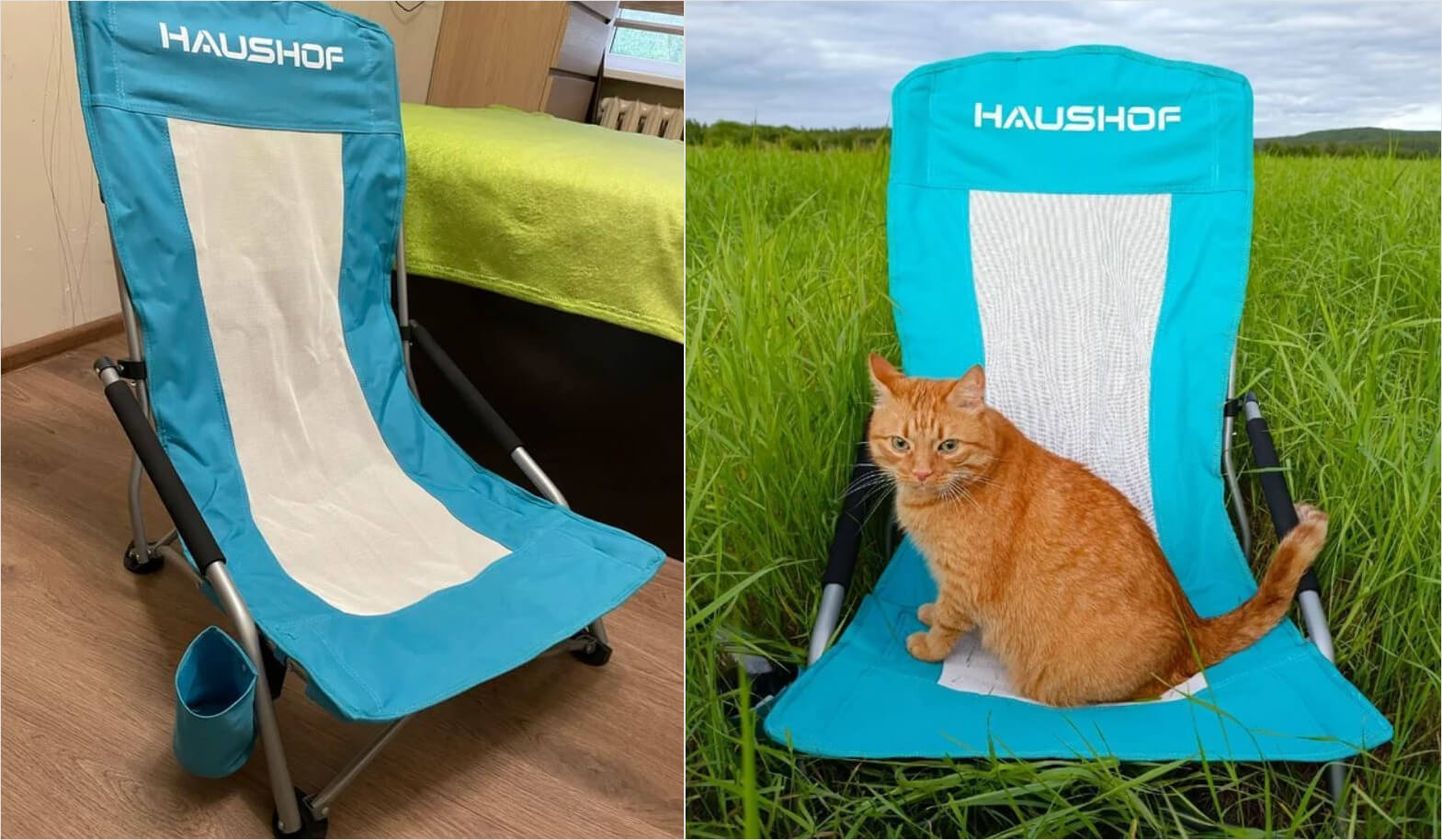 Складное кресло для дачи. Крутое складное кресло оценит не только каждый дачник, но и его котик. Фото.