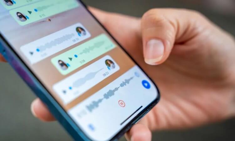 Расшифровка голосовых сообщений в WhatsApp. Ранее расшифровку голоса находили в бета-версии Ватсапа для iOS. Фото: beebom.com. Расшифровка голосовых сообщений в WhatsApp. Ранее расшифровку голоса находили в бета-версии Ватсапа для iOS. Фото: beebom.com. Фото.