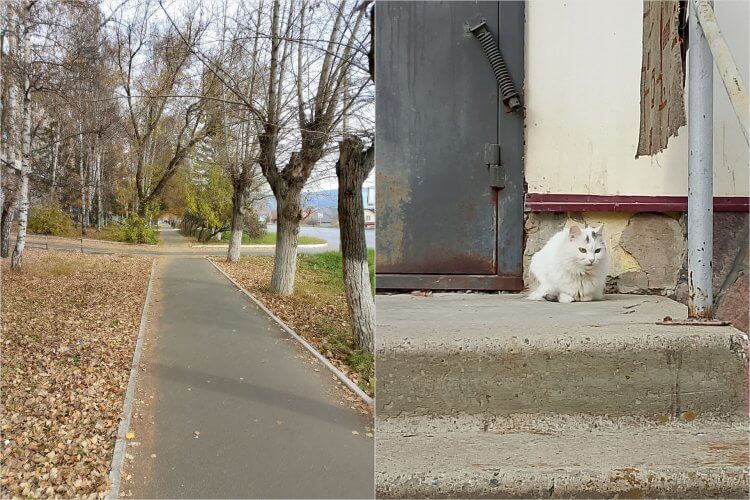 Недорогой смартфон с хорошей камерой. В целом, цветопередача фотографий неплоха. Но детализация немного страдает. Недорогой смартфон с хорошей камерой. В целом, цветопередача фотографий неплоха. Но детализация немного страдает. Фото.