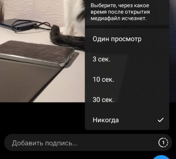 Как отправить исчезающее сообщение в Телеграм. Отправьте исчезающее сообщение, чтобы его можно было прочитать только один раз. Как отправить исчезающее сообщение в Телеграм. Отправьте исчезающее сообщение, чтобы его можно было прочитать только один раз. Фото.