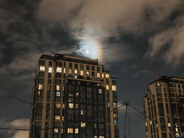 Как снимает HONOR Magic 7 Pro. 1х. Фото.