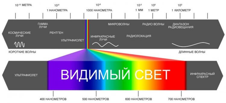 Смартфон со спектральным сенсором. Вот так мы видим лишь небольшой диапазон радиоволн, который и называем цветами. Изображение: New-Science.ru. Фото.