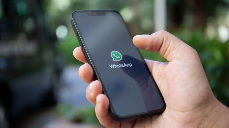В обновлении WhatsApp опять появились бесполезные функции, которыми вы не будете пользоваться. Фото.