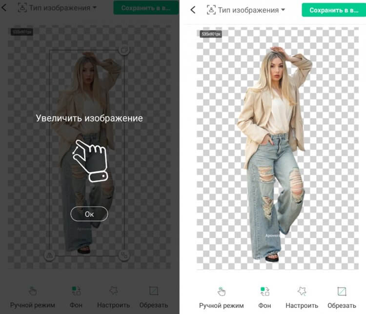 Фоновый ластик Apowersoft. ИИ отработал как надо. Фоновый ластик Apowersoft. ИИ отработал как надо. Фото.
